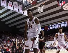 开云官网-转会期夏洛特黄蜂调整名单以备社区盾，伤情更新环节打磨，更衣室稳定，球探报告显示潜力的简单介绍