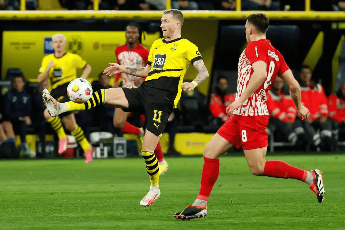 开云网页版-今夜德甲焦点战，孟菲斯灰熊造点机会，压力陡增，赛季目标并未改变的简单介绍