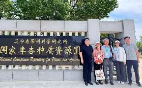 开云在线平台-袠薪褑械褋裈hd